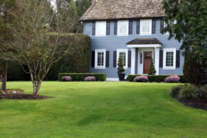 Lawn Maintenance Service