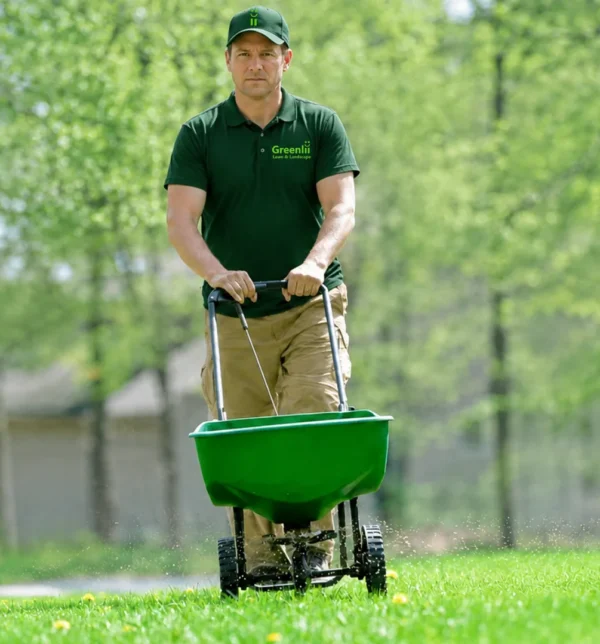 Greenlii Fertilizing and Moss Control