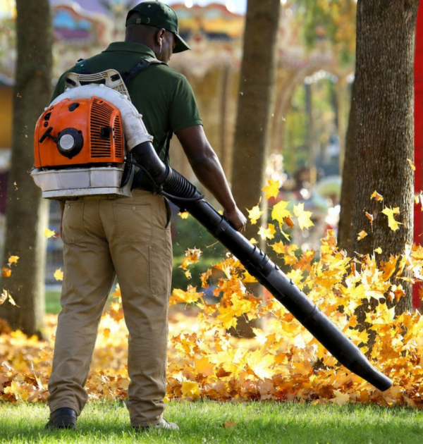 Greenlii Fall Clean Up Services