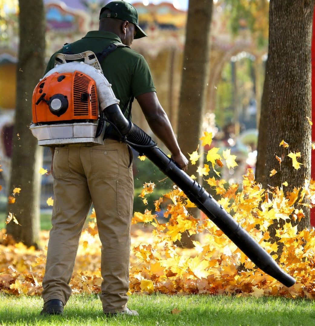 Greenlii Fall Clean Up Services
