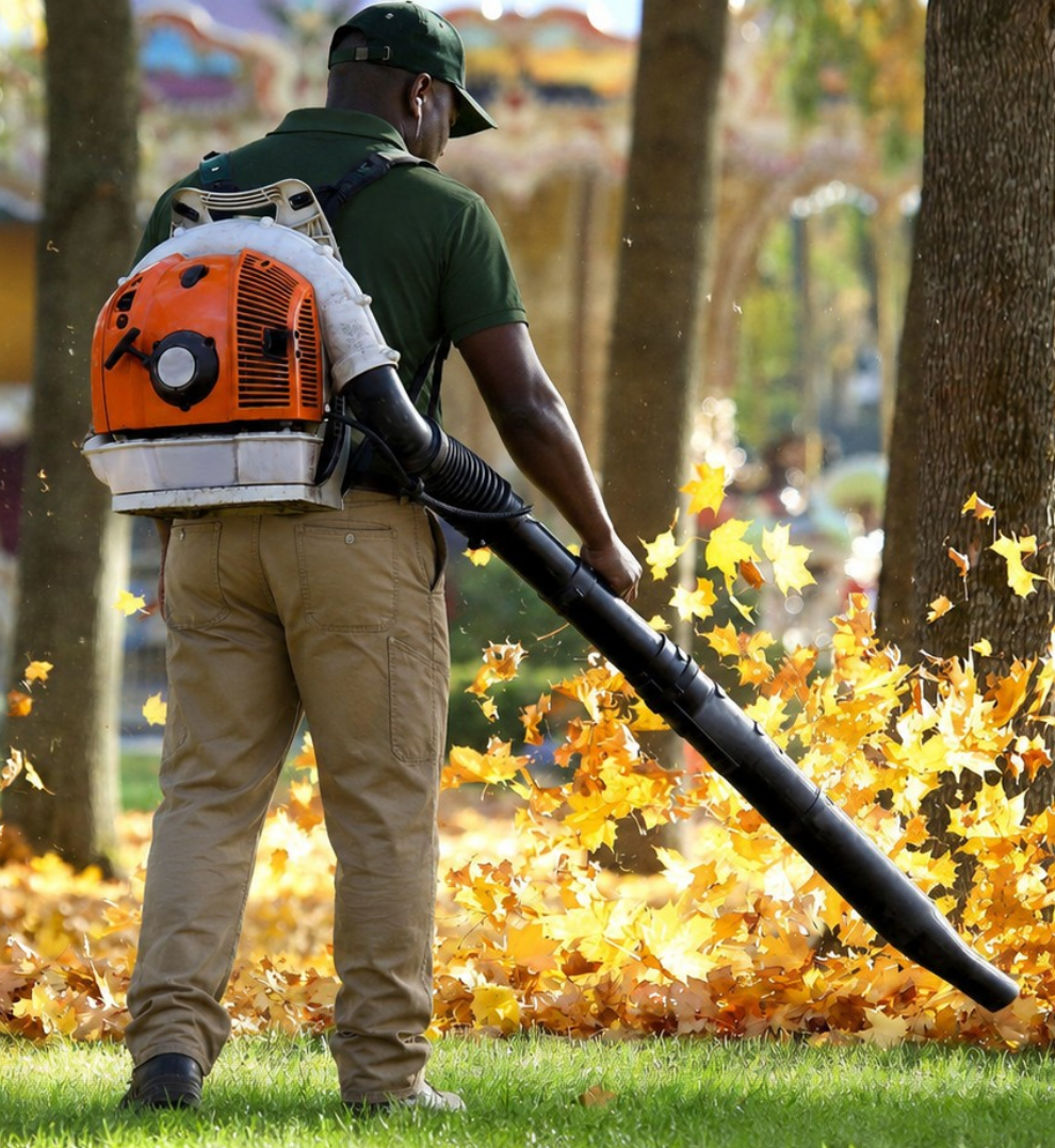 Greenlii Fall Clean Up Services
