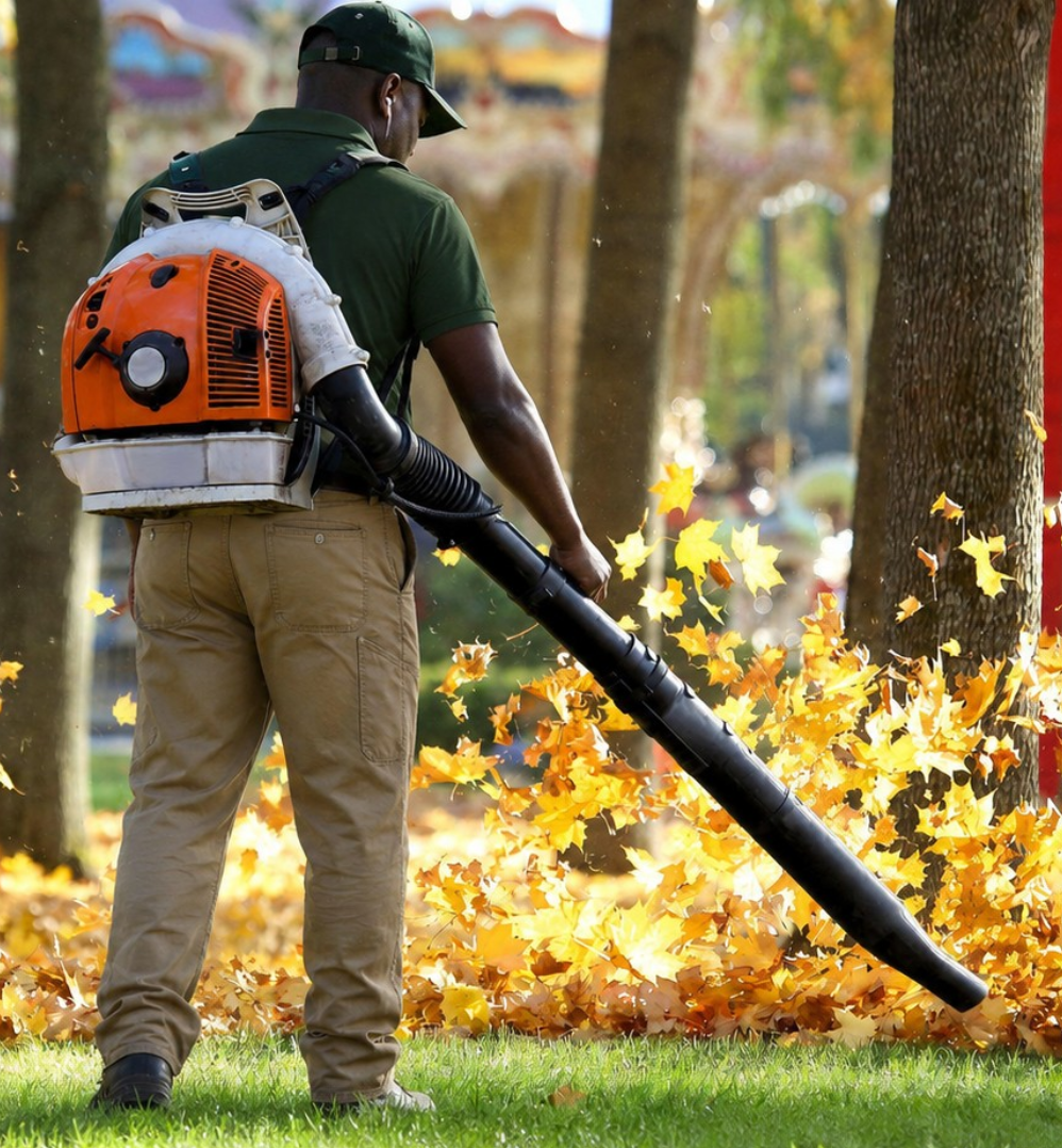 Greenlii Fall Clean Up Services