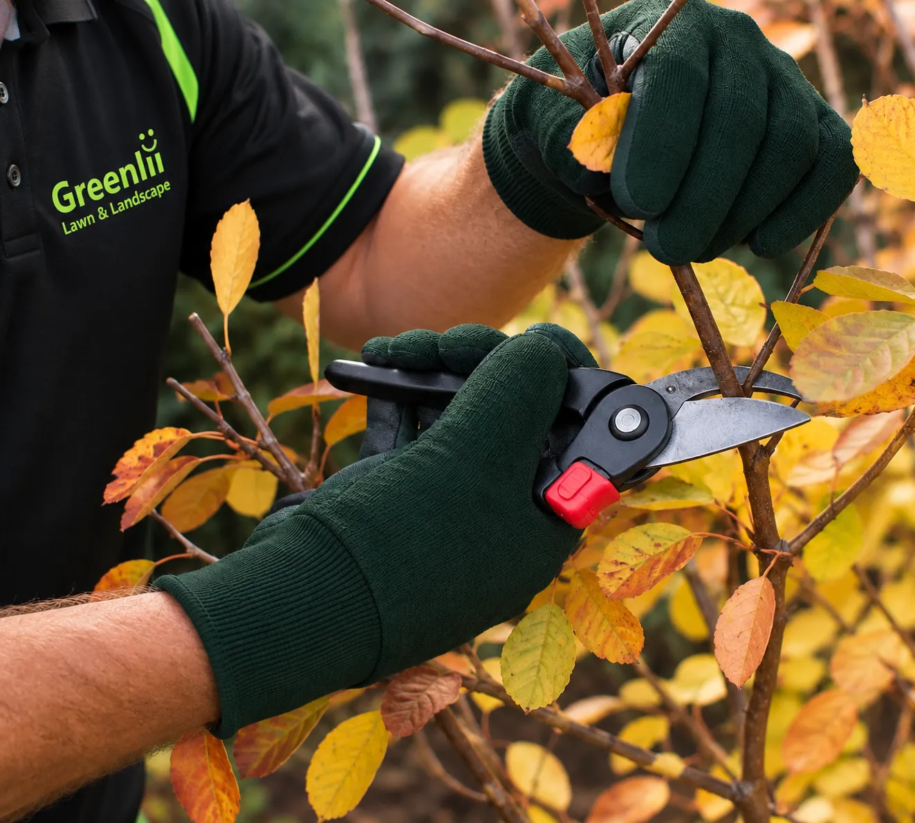 pruning Greenlii Trailer Truck Gray